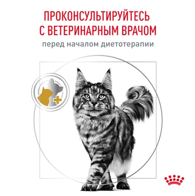 Ветеринарный влажный корм Royal Canin для кошек "Лечение и профилактика МКБ" Urinary S/O 85 г