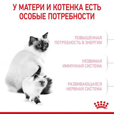 Корм Royal Canin для котят от 1 до 4 мес. Mother&Babycat 2 кг