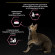 АКЦИЯ!!! Корм Purina Pro Plan  Sterilised Delicate для стерилизованных кошек и кастрированных котов с чувствительным пищеварением, с курицей, 400 г + 200 г В ПОДАРОК!!!