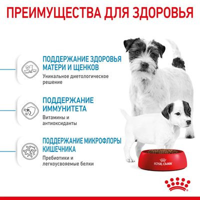 Корм Royal Canin для щенков до 2х мес. и кормящих и беременных собак Mini Starter 8,5кг Корм Royal Canin для щенков до 2х мес. и кормящих и беременных собак Mini Starter 8,5кг