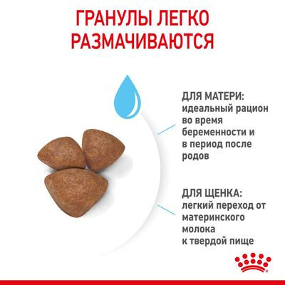 Корм Royal Canin для щенков до 2х мес. и кормящих и беременных собак Mini Starter 8,5кг Корм Royal Canin для щенков до 2х мес. и кормящих и беременных собак Mini Starter 8,5кг