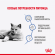 Влажный корм Royal Canin кусочки в соусе для кошек склонных к полноте Light Weight 85 г