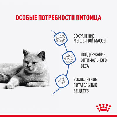 Влажный корм Royal Canin кусочки в соусе для кошек склонных к полноте Light Weight 85 г