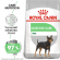 Корм Royal Canin для собак малых пород с чувствительным пищеварением Mini Digestive Care 3кг