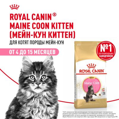Корм Royal Canin для котят породы мейн-кун 400 г