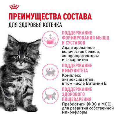 Корм Royal Canin для котят породы мейн-кун 400 г