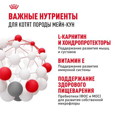 Корм Royal Canin для котят породы мейн-кун 400 г