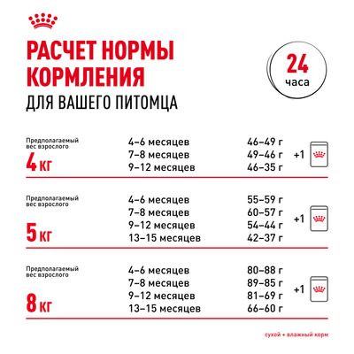 Корм Royal Canin для котят породы мейн-кун 400 г