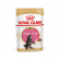 Влажный корм Royal Canin для котят породы мейн-кун в соусе 85 г