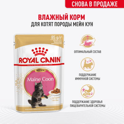 Влажный корм Royal Canin для котят породы мейн-кун в соусе 85 г