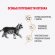 Влажный корм Royal Canin для котят породы мейн-кун в соусе 85 г