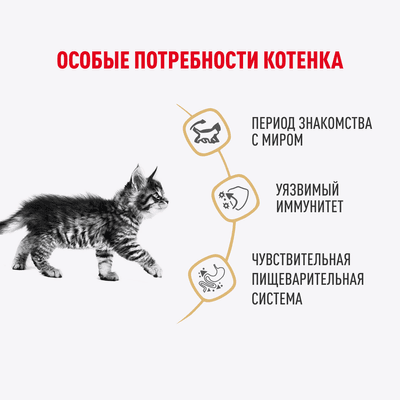 Влажный корм Royal Canin для котят породы мейн-кун в соусе 85 г