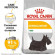 Корм Royal Canin для собак малых пород с чувствительной кожей Mini DermaComfort 26 3 кг