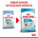 Корм Royal Canin для щенков миниатюрных пород с 2 до 10 мес X-Small Puppy 3кг