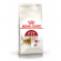 Корм Royal Canin для активных кошек (1-7 лет) Fit 32 200гр