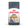 Корм Royal Canin для кошек для поддержания здоровья кожи и шерсти Hair&Skin 2 кг