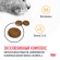 Корм Royal Canin для кошек для поддержания здоровья кожи и шерсти Hair&Skin 2 кг