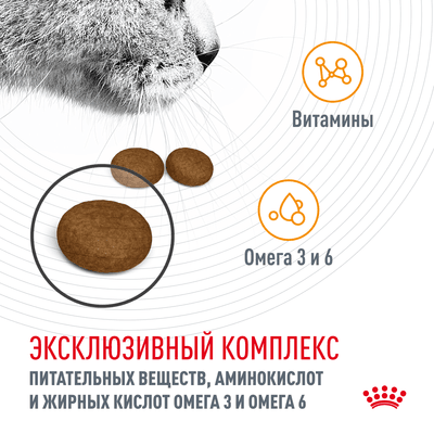 Корм Royal Canin для кошек для поддержания здоровья кожи и шерсти Hair&Skin 2 кг
