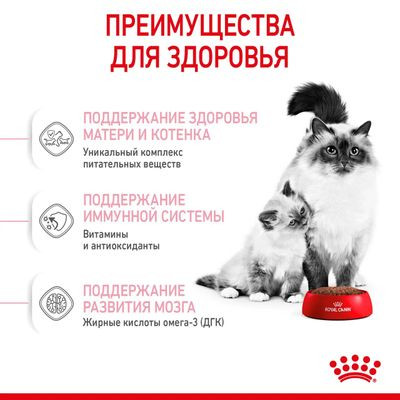 Корм Royal Canin для котят от 1 до 4 мес. Mother&Babycat 4кг
