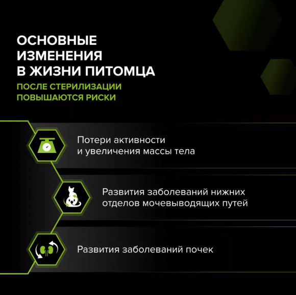 Корм PRO PLAN Sterilised DELICATE DIGESTION Сухой корм для взрослых кошек с курицей 800 г
