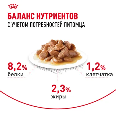 Влажный корм Royal Canin для кошек Appetite Control Care мелкие кусочки в желе 85 г
