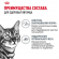 Влажный корм Royal Canin для кошек Appetite Control Care мелкие кусочки в соусе 85 г