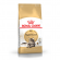 Корм Royal Canin для кошек мейн-кун 1-10 лет Мaine Coon 31 4 кг