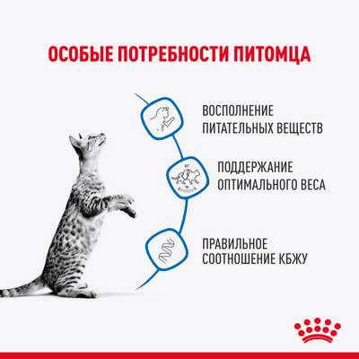 Влажный корм Royal Canin для стерилизованных кошек Indoor Sterilised (соус) 85 г Влажный корм Royal Canin для стерилизованных кошек Indoor Sterilised (соус) 85 г