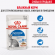 Влажный корм Royal Canin для стерилизованных кошек Indoor Sterilised (соус) 85 г Влажный корм Royal Canin для стерилизованных кошек Indoor Sterilised (соус) 85 г